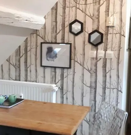 Chez Pauline Apartment Colmar