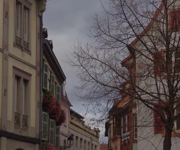 宝琳纳之家公寓 科尔马