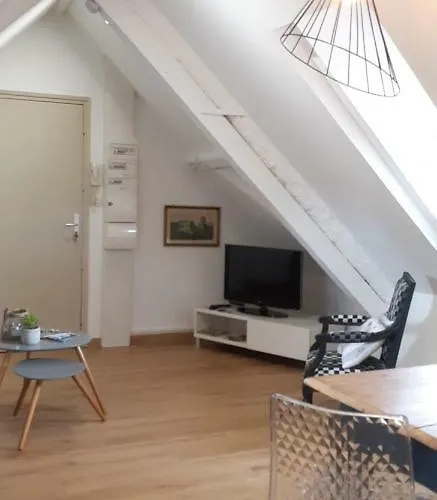 宝琳纳之家公寓 科尔马